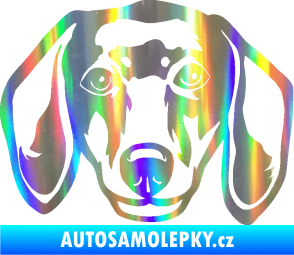 Samolepka Pes 180 levá jezevčík  Holografická