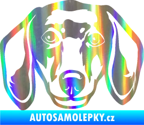 Samolepka Pes 180 pravá jezevčík  Holografická