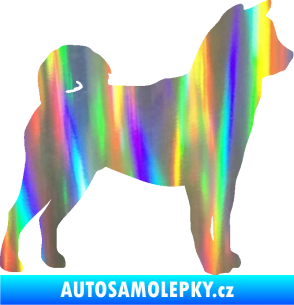 Samolepka Pes 191 pravá Shiba - Inu Holografická