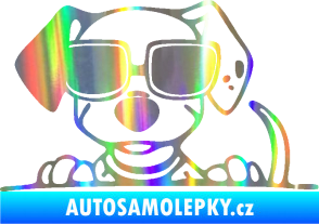 Samolepka Pes s brýlemi 101 levá v autě Holografická