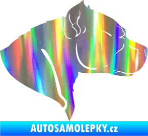 Samolepka Pitbull 004 pravá Holografická