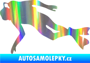 Samolepka Potápěč 002 levá Holografická