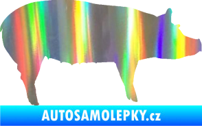 Samolepka Prase 002 pravá Holografická