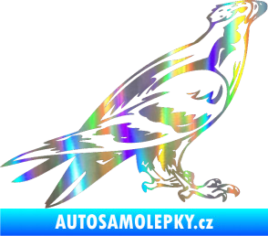 Samolepka Predators 006 pravá Holografická