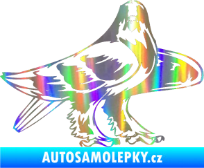 Samolepka Predators 047 pravá Holografická