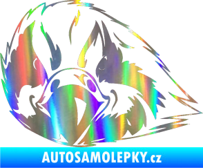 Samolepka Predators 079 levá Holografická