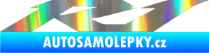 Samolepka R1 001 Holografická
