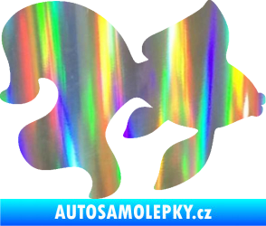 Samolepka Ryba 019 pravá závojnatka Holografická