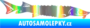 Samolepka Ryba 020 pravá jeseter Holografická