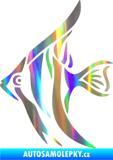 Samolepka Ryba 024  levá akvarijní skalára Holografická