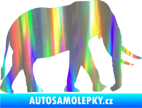 Samolepka Slon 002 pravá Holografická