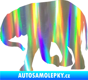 Samolepka Slon 004 levá Holografická