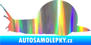 Samolepka Šnek 001 levá Holografická