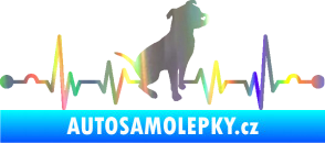 Samolepka Srdeční tep 007 pravá pitbull Holografická
