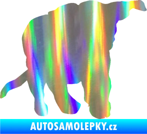 Samolepka Štěňátko 003 pravá Holografická