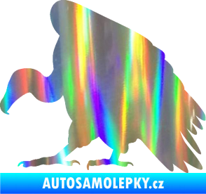 Samolepka Sup 001 levá Holografická