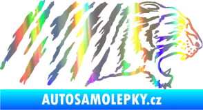 Samolepka Tygr 004 pravá Holografická