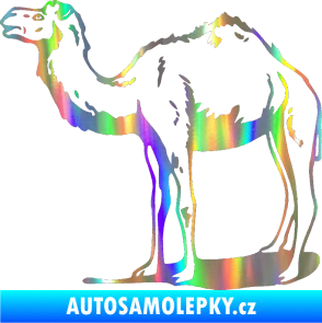 Samolepka Velbloud 001 levá Holografická