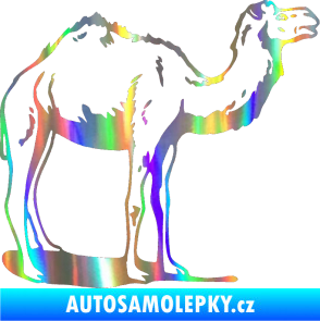 Samolepka Velbloud 001 pravá Holografická