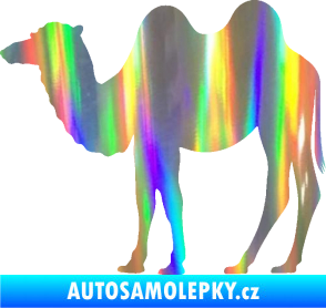 Samolepka Velbloud 003 levá Holografická