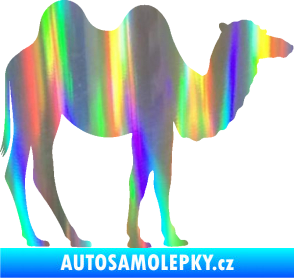 Samolepka Velbloud 003 pravá Holografická