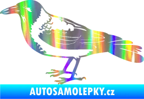 Samolepka Vrána 001 levá Holografická