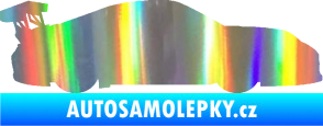 Samolepka Závodní auto 001 pravá Holografická