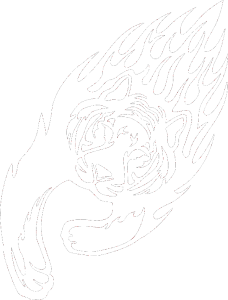 Animal flames 015 levá tygr
