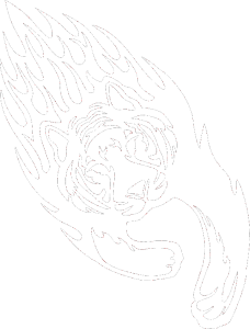 Animal flames 015 pravá tygr