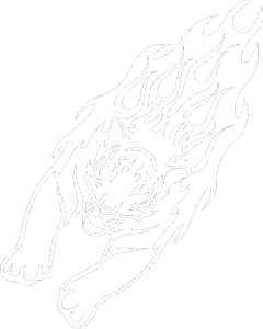 Animal flames 024 levá tygr