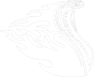 Animal flames 088 pravá vztyčená kobra