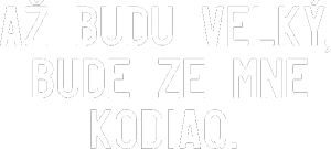 Až budu velký, bude ze mne Kodiaq