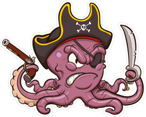 Barevná chobotnice 003 pravá pirát