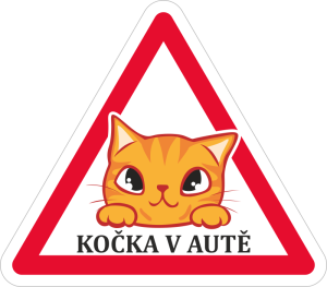 Barevná kočka v autě 002