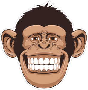 Barevná opice 007 šimpanz