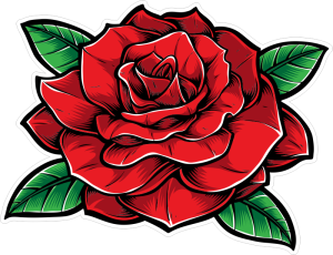 Barevná růže 001 pravá
