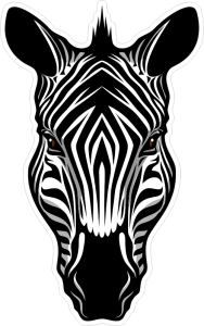 Barevná zebra 003