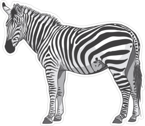 Barevná zebra 006 levá