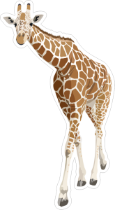Barevná žirafa 002 levá