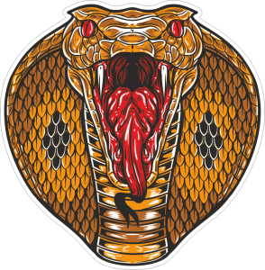 Barevný had 002 kobra