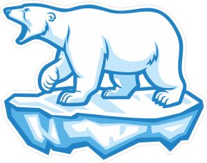 Barevný lední medvěd 002 levá na ledovci