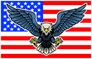 Barevný orel 001 s americkou vlajkou