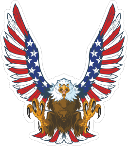 Barevný orel 005 s americkou vlajkou