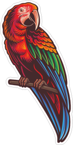 Barevný papoušek 002 pravá