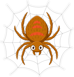 Barevný pavouk 002 s pavučinou