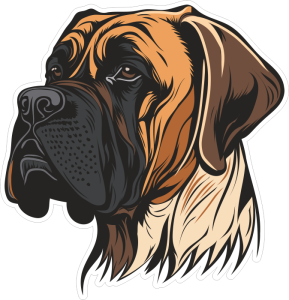 Barevný pes 021 levá boxer
