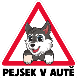 Barevný pes v autě 003 pejsek jede