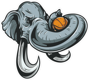 Barevný slon 002 pravá basketbal