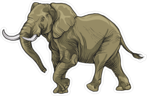 Barevný slon 005 levá