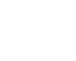 Bear levá